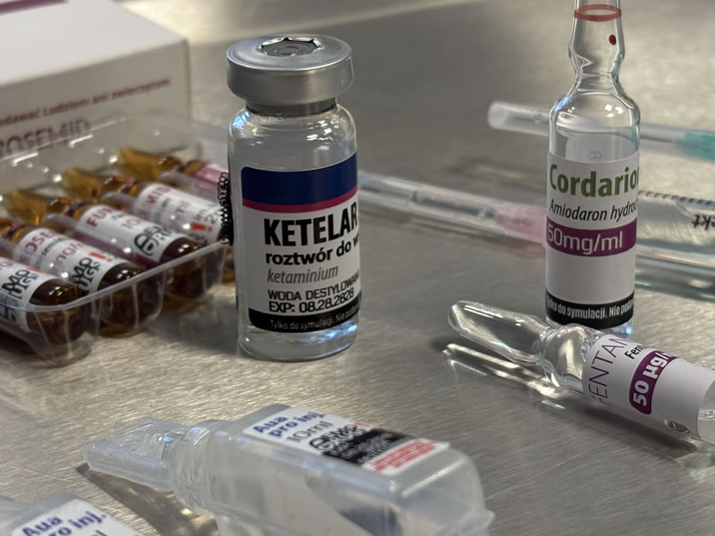 preparaty do nauki, DEMOMED - symulacja medyczna preparaty